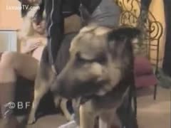 The dishonest wife blows her pet while masturbating.